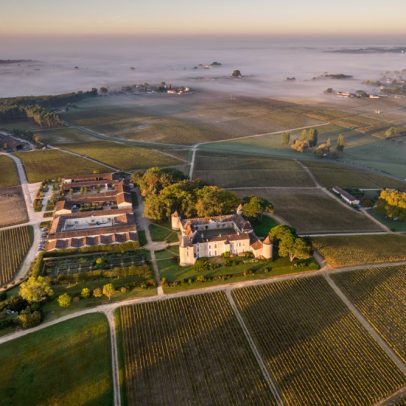 Château d’Yquem transforma sua abordagem sem perder a tradição vinícola