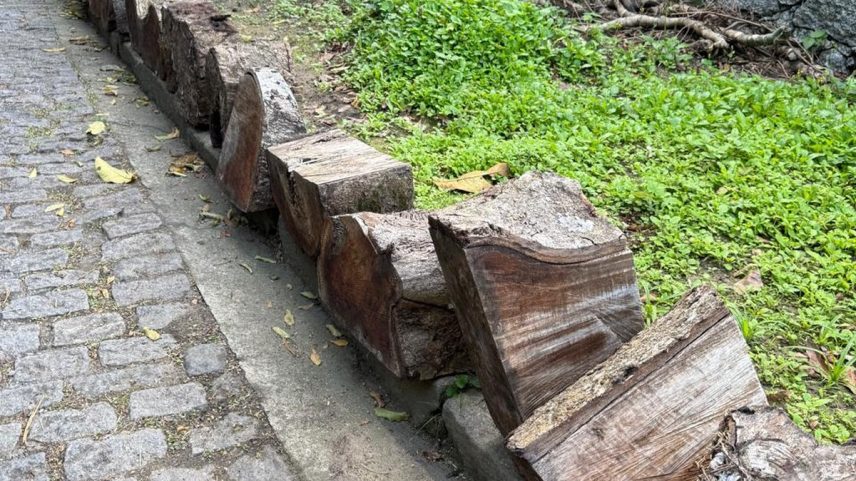 Pedaços de madeira na Rua Iposeira, em São Conrado (Foto: Foto do leitor)