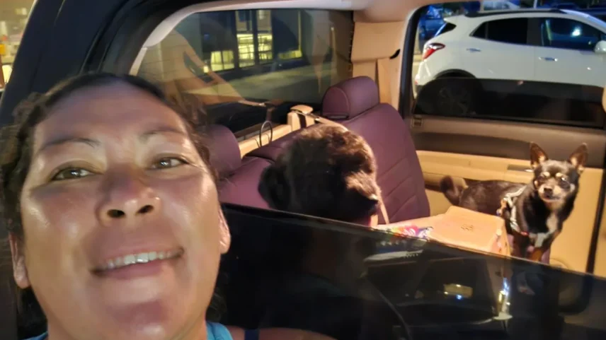 Terremoto de grande magnitude ao largo da Rússia provoca alertas de tsunami em larga escala (Foto: Felicia Johnson)