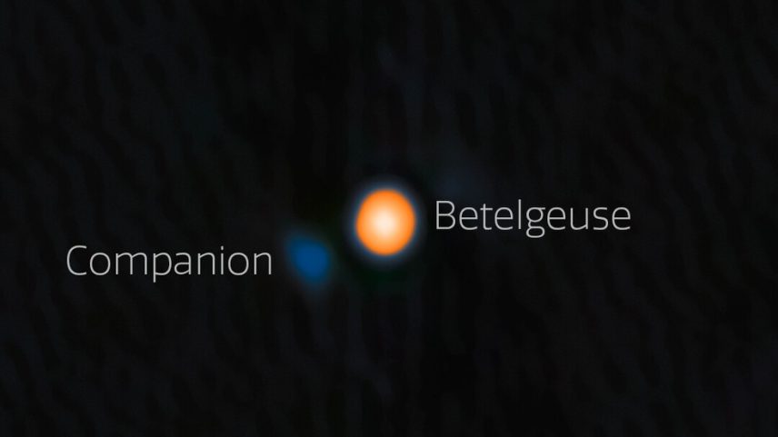 Imagem mostra Betelgeuse (em laranja) e sua recém-descoberta estrela companheira (em azul), registradas pelo telescópio Gemini North, no Havaí, em dezembro de 2024. (Foto: International Gemini Observatory/NOIRLab/NSF/AURA Image Processing: M. Zamani (NSF NOIRLab))
