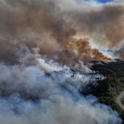 Incêndios florestais devastam costa síria em meio à seca e desafio ao novo governo