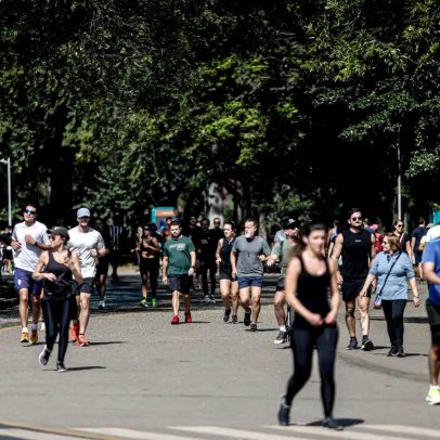 USP detecta primeiros casos de gripe aviária no parque do Ibirapuera