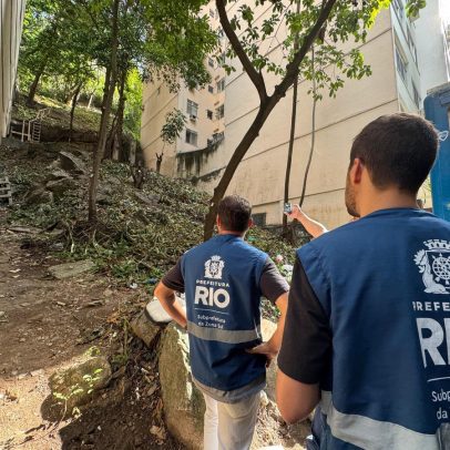 Subprefeitura de Copacabana embarga construção por desmatamento irregular