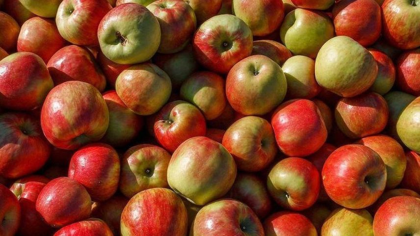 Passamos a vida ouvindo que 'uma maçã por dia mantém o médico longe', mas será que a fruta realmente traz benefícios fora do comum para a nossa saúde? (Foto: Getty Images via BBC)