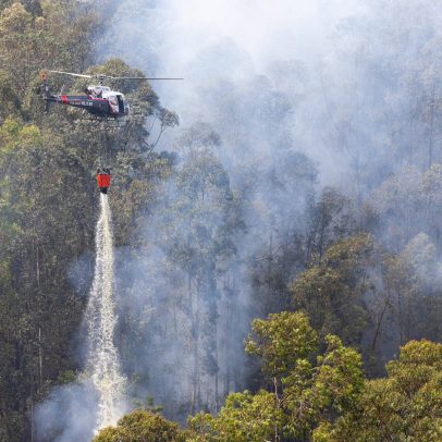 Defesa Civil alerta para risco de incêndio na Grande São Paulo em 2025