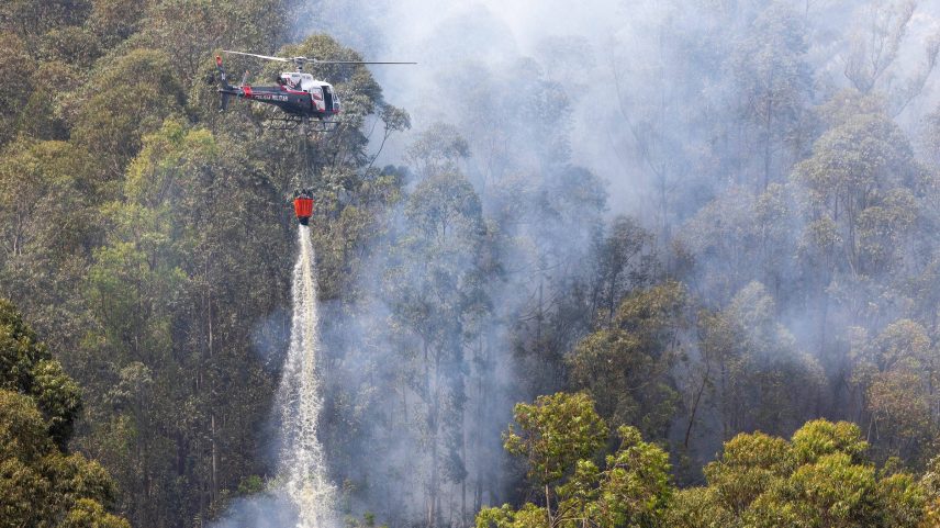 Combate a incêndio em mata próximo ao bairro de Perus, na zona norte de São Paulo (Foto: Danilo Verpa - 10.set.24/Folhapress)