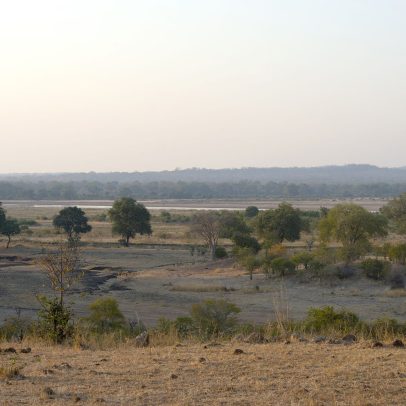 Elefante mata duas turistas em parque nacional da Zâmbia durante safari