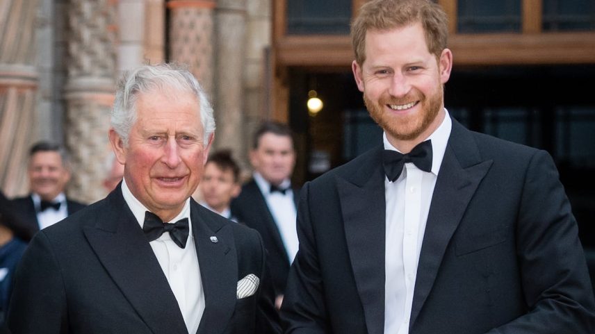 Carlos III e o príncipe Henrique na estreia de 'Nosso planeta' em Londres, no dia 4 de abril de 2019. (Foto: Samir Hussein/WireImage)