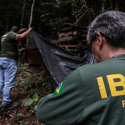 Licenciamento ambiental cresce três vezes, mas equipe do Ibama encolhe 33%