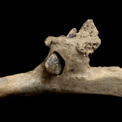 Flecha de 4.000 anos é encontrada em costela humana nos Pirineus