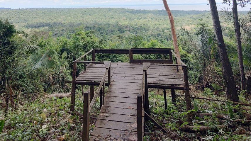 Mirante na trilha do Piquiá na comunidade Jamaraquá em Alter do Chão (PA) (Foto: Reprodução)