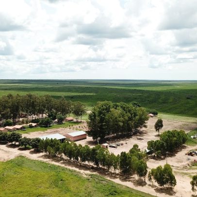 BrasilAgro realiza venda de fazenda na Bahia por R$ 141,4 milhões após 17 anos