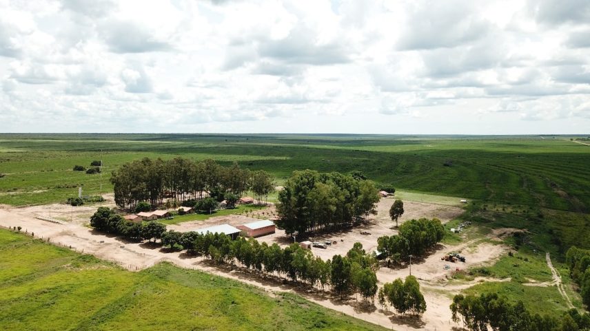 Fazenda Preferência, localizada em Baianópolis, no oeste da Bahia: adquirida por R$ 10,7 milhões em 2008 e recebeu depois investimentos de R$ 23,9 milhões - (Foto: divulgação)