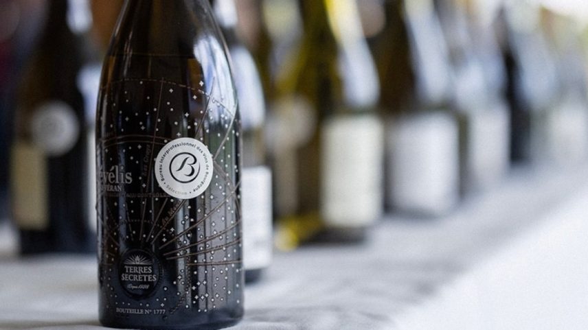 Produtores da região de Borgonha buscam apresentar novos rótulos ao mercado brasileiro (Foto: Reprodução/Instagram/Vins de Bourgogne)