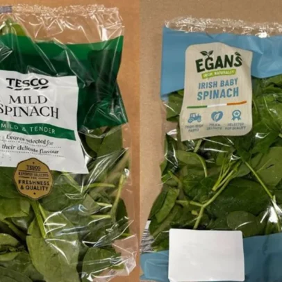 Folhas de espinafre e mistura de folhas são recolhidas por contaminação de listeria