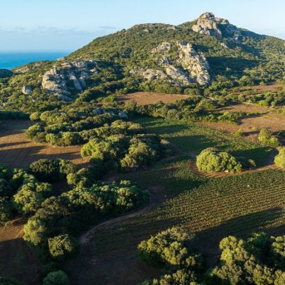 Oenoturismo na Provence e na Córsega destaca belezas do sul da França