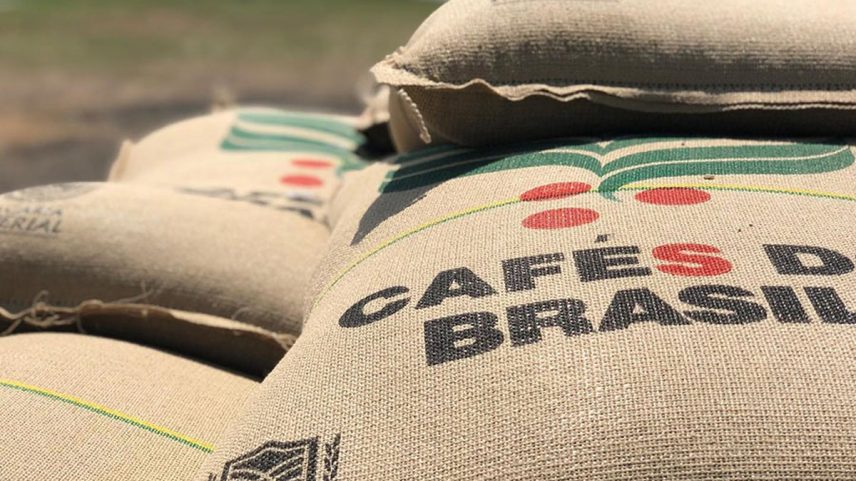 Os EUA são os maiores compradores mundiais de café, com cerca de 24 milhões de sacas consumidas ao ano, e o seu maior parceiro no fornecimento é o Brasil (Foto: Gustavo Facanalli/Embrapa)