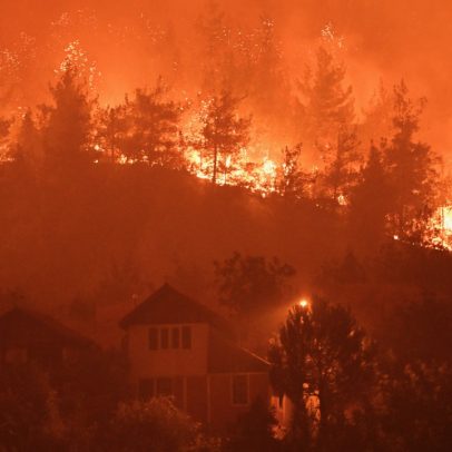 Incêndios florestais na Turquia deixam milhares de desabrigados e causam destruição