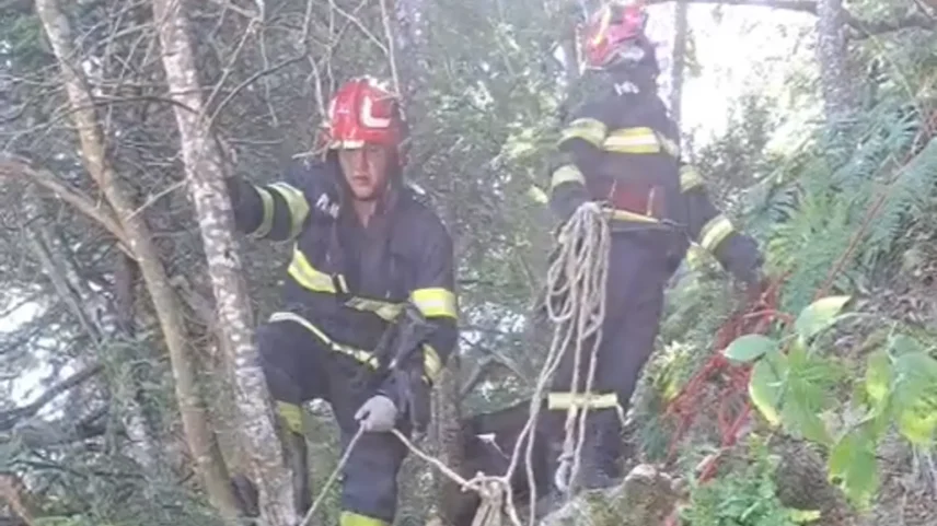 Trabalhadores de emergência no local do ataque (Foto: Salvamont Argeș)