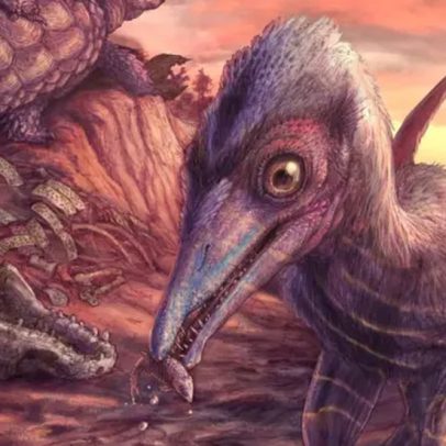Descoberta nova espécie de réptil voador a partir de osso de 200 milhões de anos