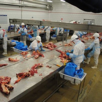 Setor de carnes enfrenta queda de até 10% na B3 após aumento de tarifas