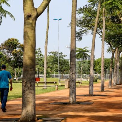 Governo de SP promove audiências públicas para discutir concessão de parques urbanos
