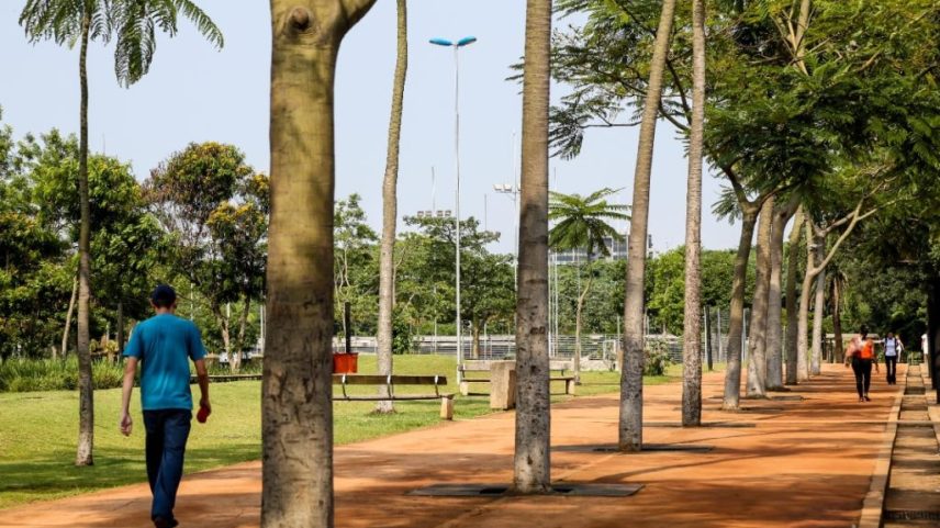Parque da Juventude, em São Paulo (SP) (Foto: Governo de SP/Semil/Divulgação)