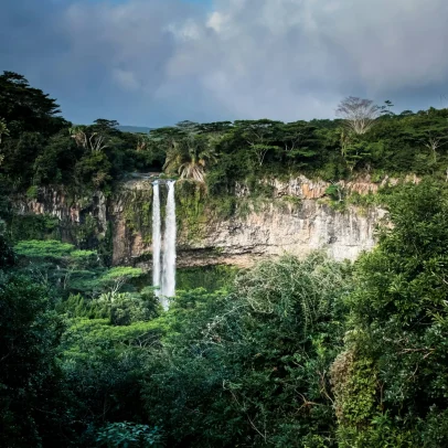 Natureza é reconhecida como artista em movimento inovador de valorização ambiental