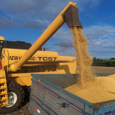 Importações de soja do Brasil pela China aumentam 9% em junho