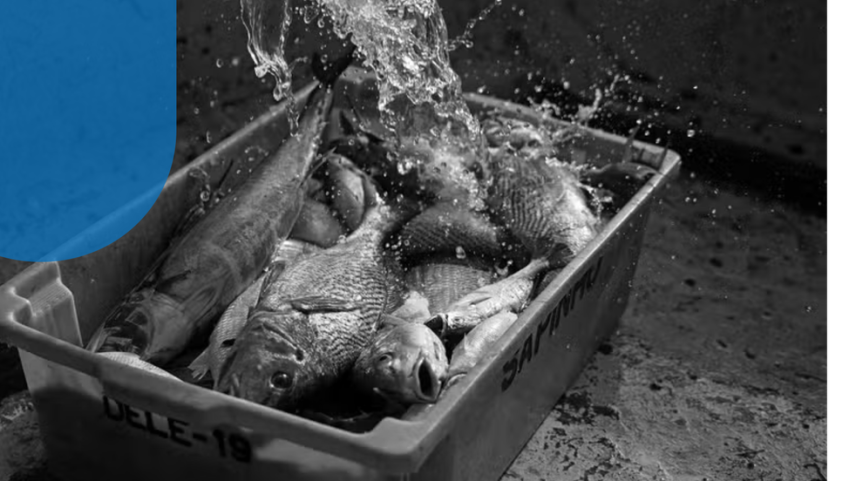 Pesca artesanal é prejudicada pela poluição de resíduos e pela atividade petrolífera na região, segundo socióloga — Foto: Carl de Souza/AFP