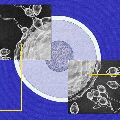 Cientistas revelam mistérios sobre o espermatozoide e sua importância na reprodução