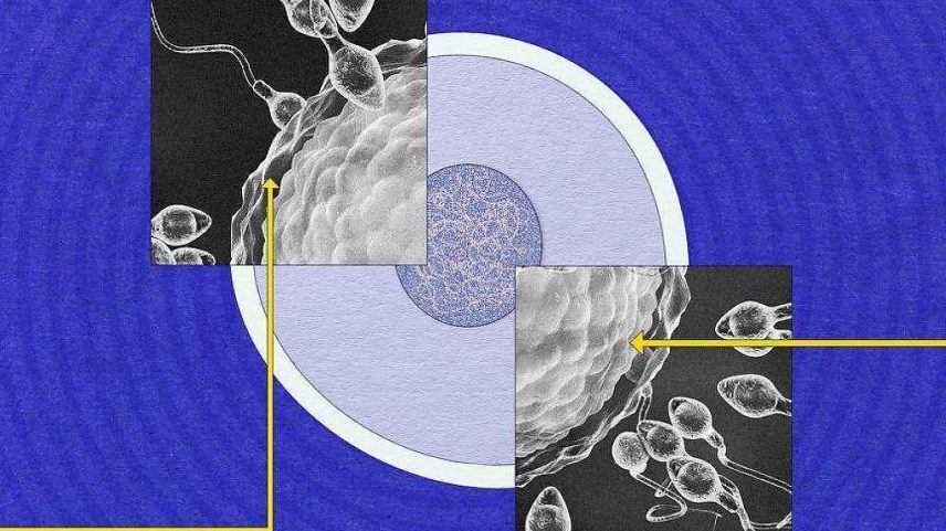 Os cientistas ainda tentam responder muitas perguntas sobre o esperma (Foto: BBC)