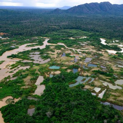 Destruição da floresta amazônica avança com garimpo no território Kayapó