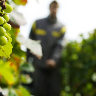 Hébergeurs na Champagne são condenados à prisão por tráfico de pessoas