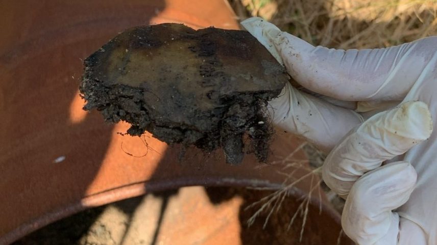 Cemitério clandestino é encontrado na Zona Oeste (Foto: Reprodução)