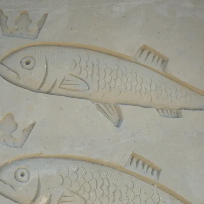 Cientistas descobrem novo peixe predador que habitou os mares antigos