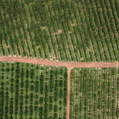 Entidade do agro critica tarifa de Trump e aponta economia brasileira em crise