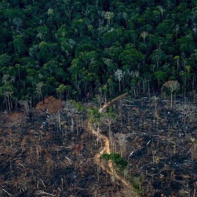 Organizações buscam pacto para garantir US$ 7 bilhões anuais à Amazônia