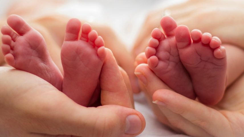 Transferência pronuclear: técnica é indicada para mulheres com doenças mitocondriais graves (Foto: iStock/Getty Images)