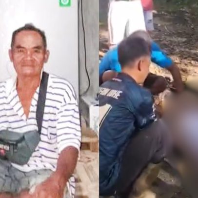 Agricultor é encontrado morto após ser engolido por píton de oito metros na Indonésia
