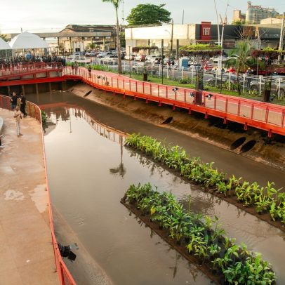 COP em Belém gera debate sobre impactos reais para população e meio ambiente