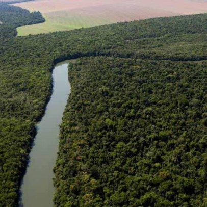 Governo busca novas opções para substituir PL do licenciamento ambiental