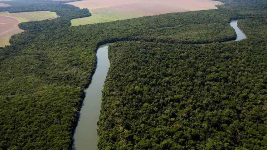 Chamado de “PL da Devastação” por ambientalistas, projeto é defendido por entidades ligadas à infraestrutura e ao agronegócio. (Foto: TIAGO QUEIROZ/ESTADÃO)