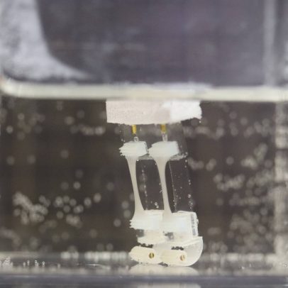 Robôs feitos de matéria orgânica revolucionam a tecnologia e a sustentabilidade