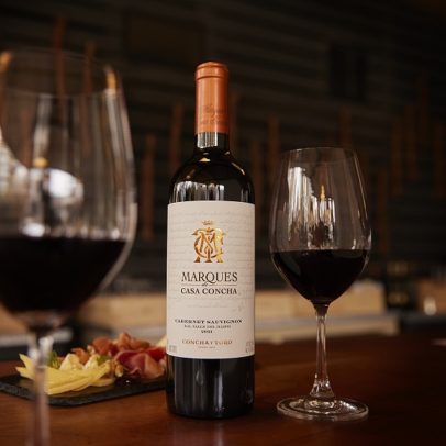 Descubra os melhores vinhos tintos para aquecer seu inverno com sabor e estilo