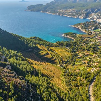 Descubra as melhores opções de enoturismo entre Cassis e Bandol para sua viagem