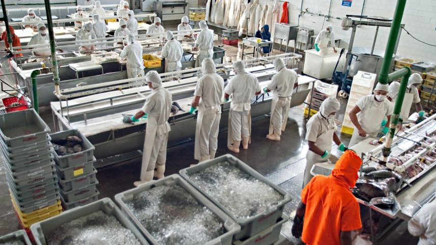 Empresas como a Frescatto adaptam logística para fugir do risco de uma tarifa de 50% (Foto: Divulgação)