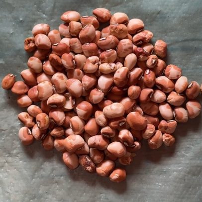 Agricultor do sertão preserva sementes raras e resgata tradições alimentares