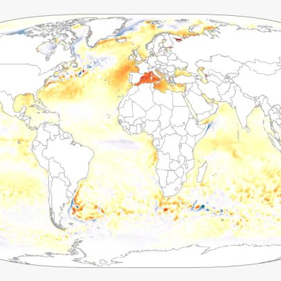Mar Mediterrâneo atinge 30 graus e enfrenta invasão de espécies tropicais