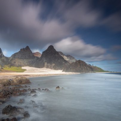 Cabras transformam a ilha de Trindade em um ecossistema em renascimento natural